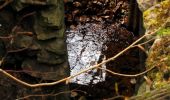 Tocht Stappen Taillefontaine - en forêt de Retz_44_laie des pots_2 - Photo 19