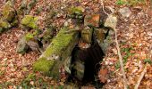 Trail Walking Taillefontaine - en forêt de Retz_44_laie des pots_2 - Photo 14