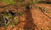 Tocht Stappen Taillefontaine - en forêt de Retz_44_laie des pots_2 - Photo 10