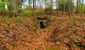Tocht Stappen Taillefontaine - en forêt de Retz_44_laie des pots_2 - Photo 9