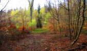 Tocht Stappen Taillefontaine - en forêt de Retz_44_laie des pots_2 - Photo 8