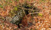 Tocht Stappen Taillefontaine - en forêt de Retz_44_laie des pots_2 - Photo 15