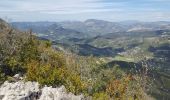 Tour Wandern Saint-Léger-du-Ventoux - Crêtes de la montagne de Bluye - Photo 10