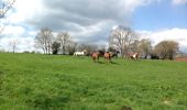 Trail Walking Plombières - Moresnet et le plus long viaduc d’Europe - Photo 20