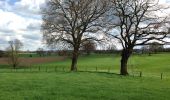 Tour Wandern Bleiberg - Moresnet et le plus long viaduc d’Europe - Photo 14