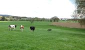 Tour Wandern Bleiberg - Moresnet et le plus long viaduc d’Europe - Photo 13