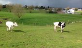 Tocht Stappen Blieberg - Moresnet et le plus long viaduc d’Europe - Photo 11