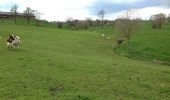 Trail Walking Plombières - Moresnet et le plus long viaduc d’Europe - Photo 10