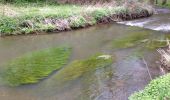 Tour Wandern Bleiberg - Moresnet et le plus long viaduc d’Europe - Photo 4