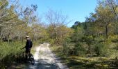 Tour Mountainbike Gujan-Mestras - 2016-04-18 La Hume - les Gaillouneys - Photo 2