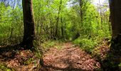 Randonnée Marche Longpont - en forêt de Retz_45_Longpont_la Pierre Fortiere_AR - Photo 20