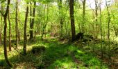 Trail Walking Longpont - en forêt de Retz_45_Longpont_la Pierre Fortiere_AR - Photo 2