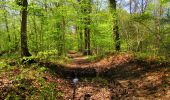 Trail Walking Longpont - en forêt de Retz_45_Longpont_la Pierre Fortiere_AR - Photo 18