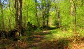 Trail Walking Longpont - en forêt de Retz_45_Longpont_la Pierre Fortiere_AR - Photo 3