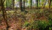 Percorso Marcia Longpont - en forêt de Retz_45_Longpont_la Pierre Fortiere_AR - Photo 13