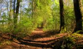 Trail Walking Longpont - en forêt de Retz_45_Longpont_la Pierre Fortiere_AR - Photo 19