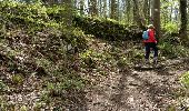Trail Walking Modave - PONT-de-BONNE (Hoyoux) - Photo 4