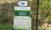 Trail Walking Modave - PONT-de-BONNE (Hoyoux) - Photo 2