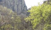 Tour Wandern Thuès-Entre-Valls - Boucle dans les Gorges de la Carença et abri de la Balmère - Photo 20