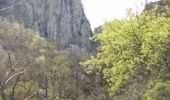 Percorso Marcia Thuès-Entre-Valls - Boucle dans les Gorges de la Carença et abri de la Balmère - Photo 20