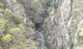 Tocht Stappen Thuès-Entre-Valls - Boucle dans les Gorges de la Carença et abri de la Balmère - Photo 18