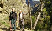 Trail Walking Thuès-Entre-Valls - Boucle dans les Gorges de la Carença et abri de la Balmère - Photo 17