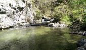 Trail Walking Thuès-Entre-Valls - Boucle dans les Gorges de la Carença et abri de la Balmère - Photo 16