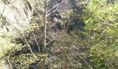 Randonnée Marche Thuès-Entre-Valls - Boucle dans les Gorges de la Carença et abri de la Balmère - Photo 15