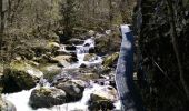 Randonnée Marche Thuès-Entre-Valls - Boucle dans les Gorges de la Carença et abri de la Balmère - Photo 14