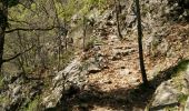 Trail Walking Thuès-Entre-Valls - Boucle dans les Gorges de la Carença et abri de la Balmère - Photo 8