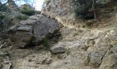 Excursión Senderismo Thuès-Entre-Valls - Boucle dans les Gorges de la Carença et abri de la Balmère - Photo 7