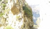 Tocht Stappen Thuès-Entre-Valls - Boucle dans les Gorges de la Carença et abri de la Balmère - Photo 5