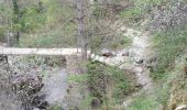 Excursión Senderismo Thuès-Entre-Valls - Boucle dans les Gorges de la Carença et abri de la Balmère - Photo 3