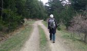Trail Walking Olette - Refuge de la Mouline depuis Thuir d'Evol - Photo 16
