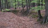 Trail Walking Bertem - Mertel - Photo 19