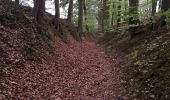 Trail Walking Bertem - Mertel - Photo 18