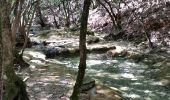 Excursión Senderismo Plan-d'Aups-Sainte-Baume - la source de l'huveaune avril 2016 - Photo 2