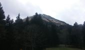 Tour Wandern Saint-Maurice-en-Trièves - col - Photo 4