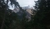 Tour Wandern Saint-Maurice-en-Trièves - col - Photo 3