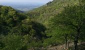 Excursión Senderismo Sorède - 66 SOREDE - la vallée heureuse - collada de Llori  par la piste - retour par le Tassio - Photo 3