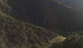 Tocht Stappen Sorède - 66 SOREDE - la vallée heureuse - collada de Llori  par la piste - retour par le Tassio - Photo 2