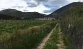 Trail Walking Roquebrun - roquebrun sud - Photo 3