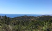 Tocht Stappen Saint-Raphaël - cap roux - Photo 2