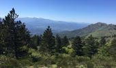 Excursión Senderismo L'Albère - 66 ST-MARTIN L'ALBERE - promenade en ligne de crête, frontière avec l'Espagne - montée par les sentiers et l'a piste  - retour par le G10   - Photo 16