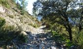 Trail Walking Val-d'Aigoual - 4000 marches - Photo 7