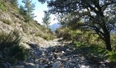 Excursión Senderismo Val-d'Aigoual - 4000 marches - Photo 6