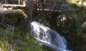 Randonnée Autre activité Gérardmer - tour merelle cascade  - Photo 3