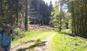 Trail Walking Kopstal - Kopstal Hollenfels - Photo 6