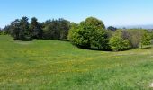 Tocht Stappen Chambles - boucle des Calmadules - Photo 2