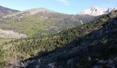 Excursión Senderismo La Roche-des-Arnauds - Tête de la Clappe.04 05 16 - Photo 8